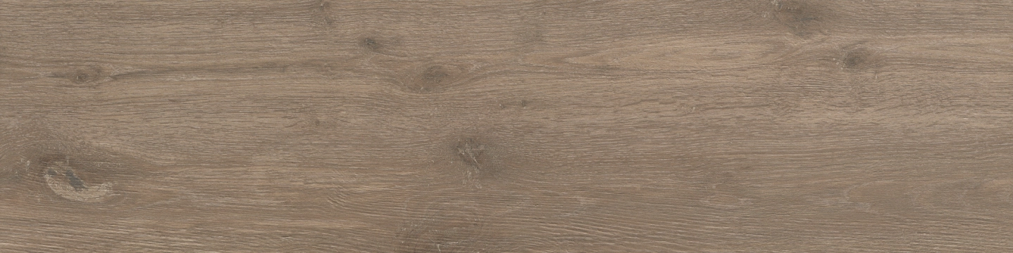 Graniti Fiandre Bois Urbain Terre naturalna 22.5x90 cm gr. 11 mm